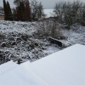 Blick vom Dach: verschneite Brombeeren