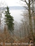 Blick auf den Bodensee