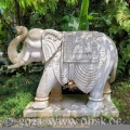 Ein indischer Elefant