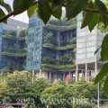 In Singapur sind auch die Balkone grün