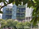 In Singapur sind auch die Balkone grün