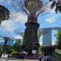 Super Trees vor dem Marina Bay Sands