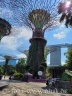 Super Trees vor dem Marina Bay Sands