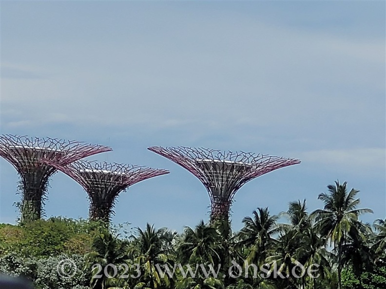 Die Super Trees vom Wasser aus