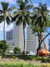 Palmen und Hochhäuser