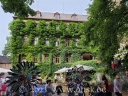 Schloss Laubach bewachsen